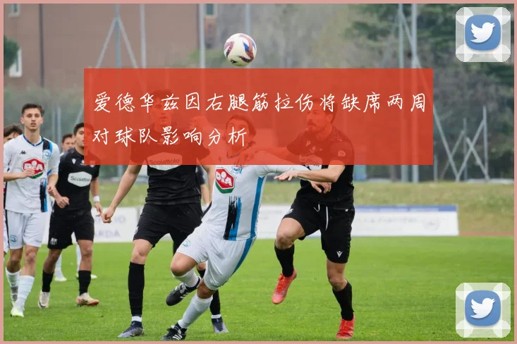 爱德华兹因右腿筋拉伤将缺席两周对球队影响分析